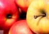 Granny Smith